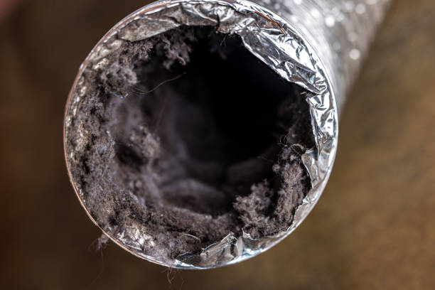 Best Best Air Duct Cleaning Company  in Factoryville, PA